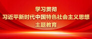 我把隔壁美女操爽了学习贯彻习近平新时代中国特色社会主义思想主题教育_fororder_ad-371X160(2)